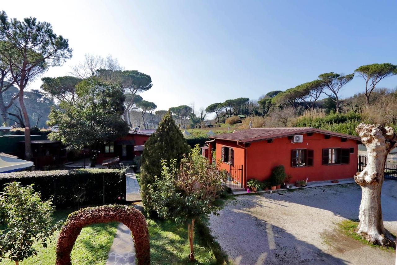 Bed & Breakfast Antico Platano Rome