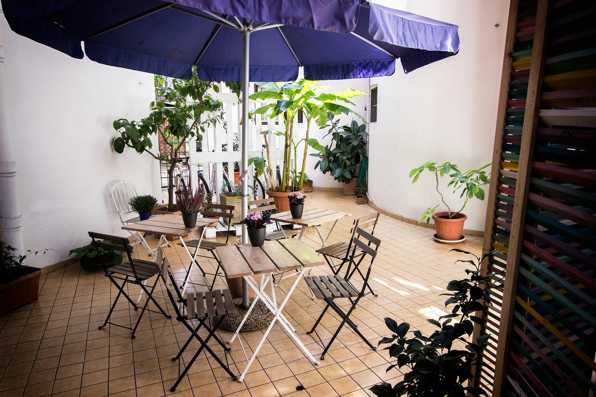 Guest house Casa Maplink