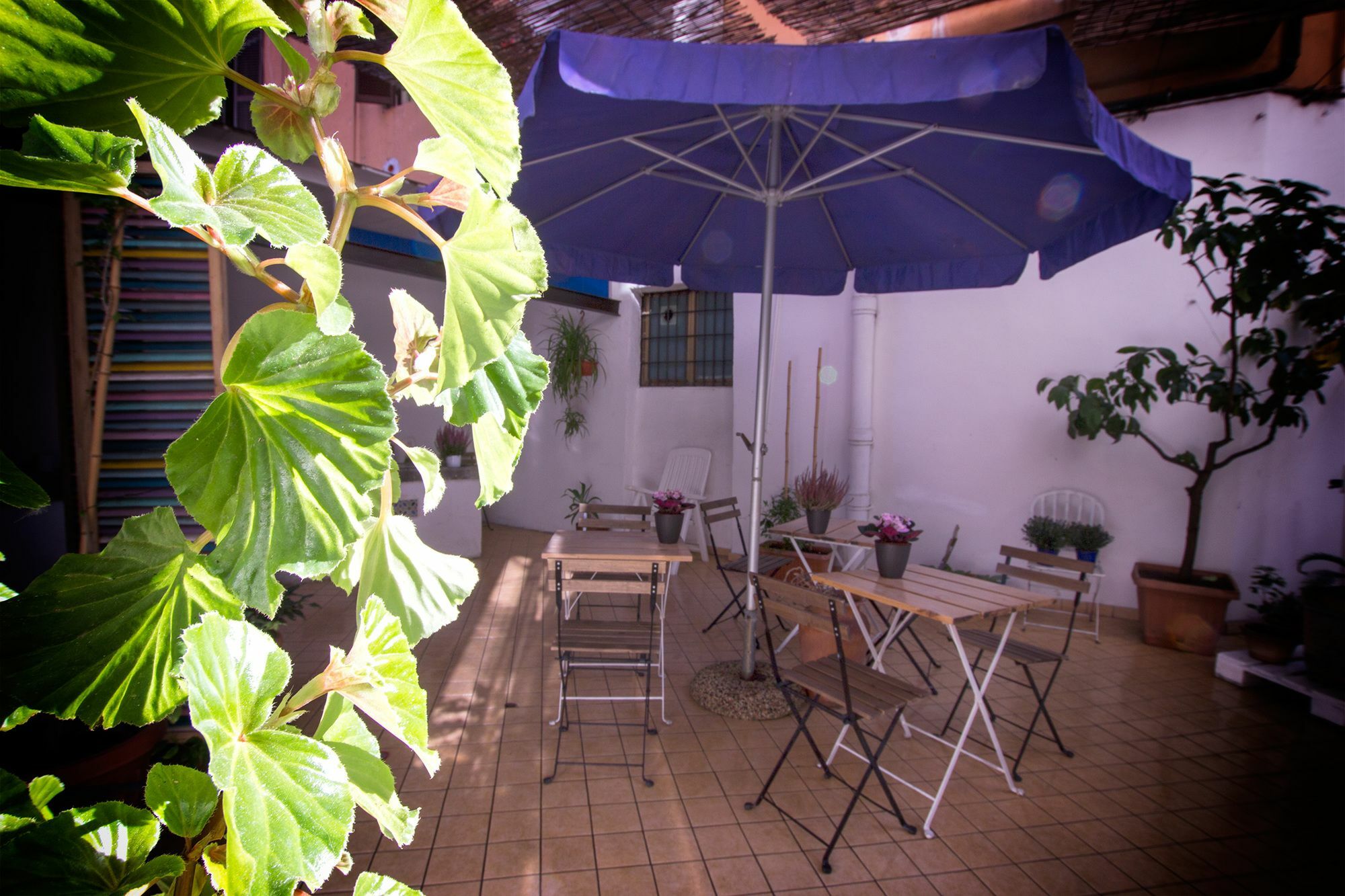 Casa Maplink Guest house 2*