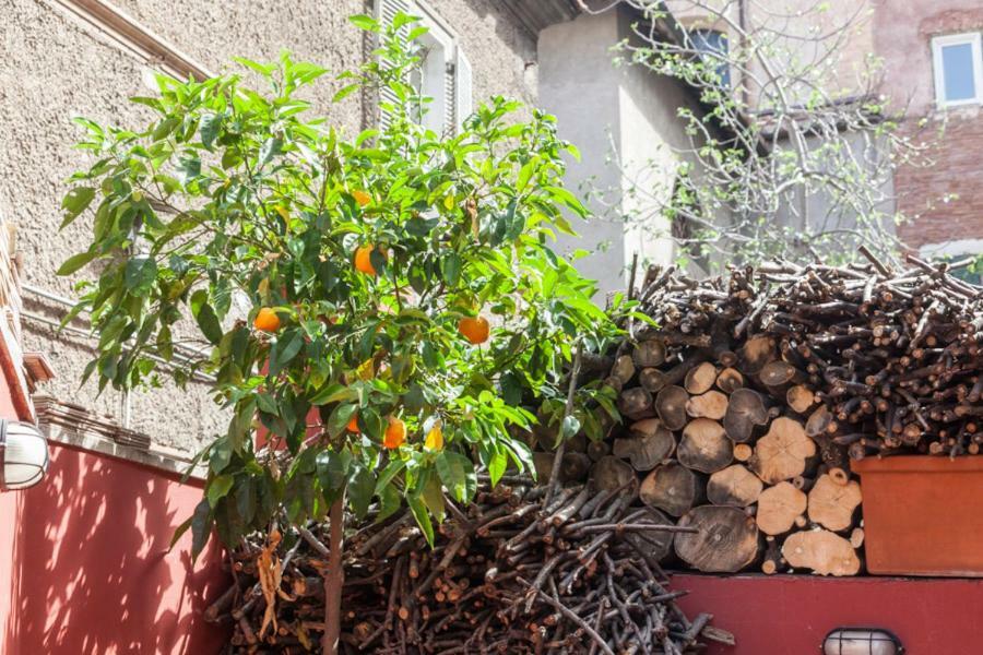 Affittacamere Casa In Monti