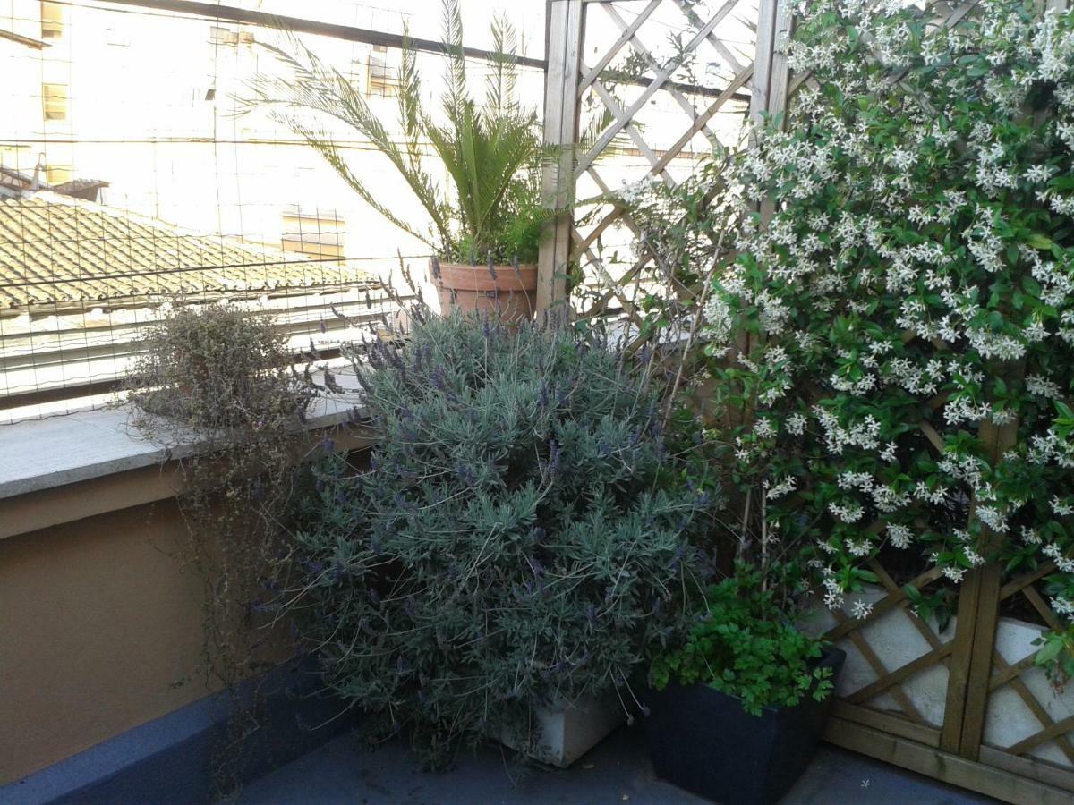 Chiara Apartment Rome
