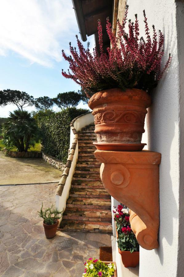Pepe Guest house Rome