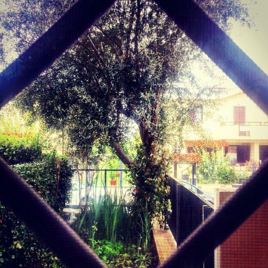 Spazio E Tranquillità A Appartamento *