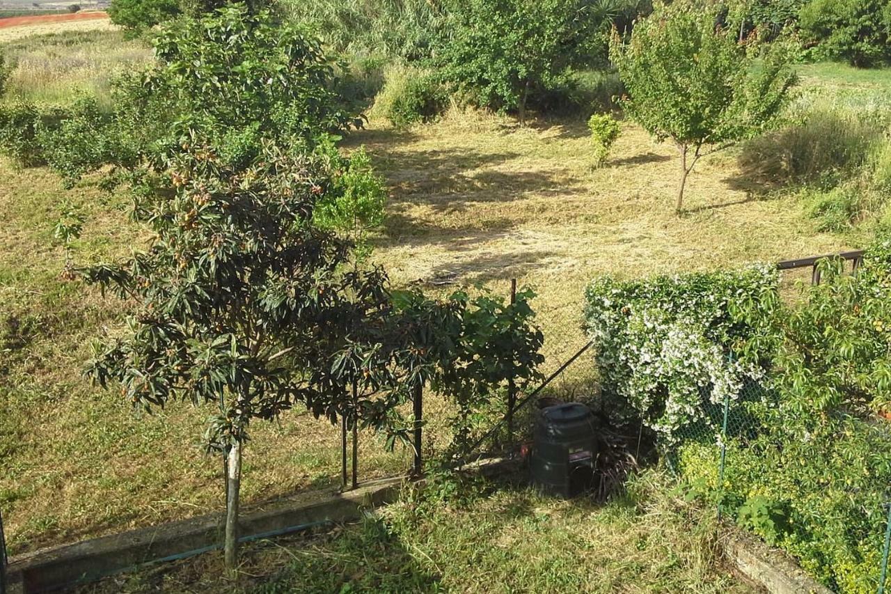 Spazio E Tranquillità A *