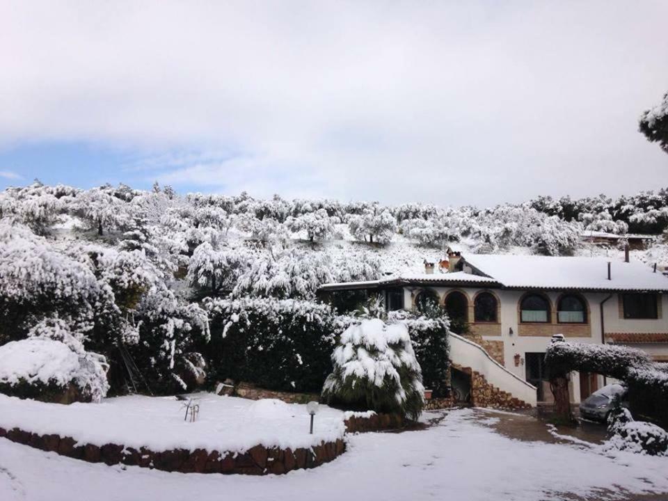 Guest house Pepe *