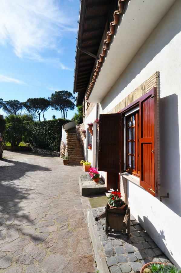 Pepe Guest house
