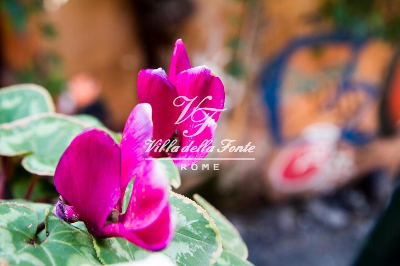 Bed & Breakfast Della Fonte Rome