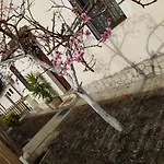 Va(i)lletta Fiorita