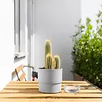 Modern & Cozy With Balcony