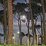 La Casa Della Pineta