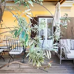 Luxury Penthouse In Trastevere
