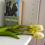 I Sanpietrini Rome Vatican Studio Apartment
