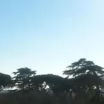 Only For Girls - Lazzaroni House Garden