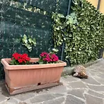 Casa Vacanze - Il Fenicottero