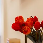 Iflat Spanish Steps Peaceful Apartment