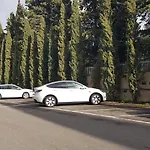 Green Oasis