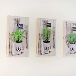 Children House Apartment