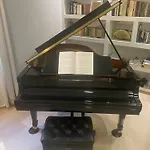 La Pianista Sull\'Oceano