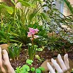 Isola Roger - Appartamento Con Giardino A Roma