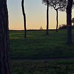 Il Pineto