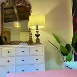 Ltpanella Rose Flat