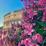 Cozy Colosseo