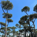Borghese Design Suite Rome