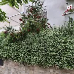 Il Pozzo