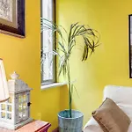 Apartment Spanish Steps