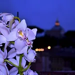 Notti Al Vaticano