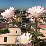 Pousada Romana