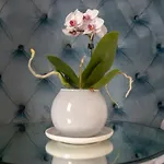 Nlm Boutique Apartment