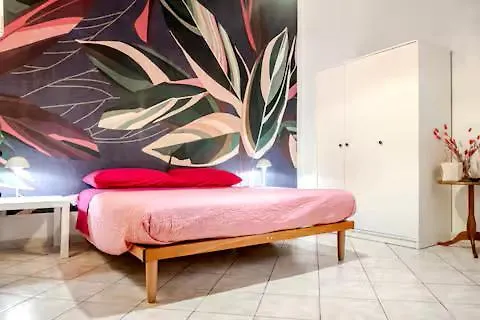 Ltpanella Rose Flat