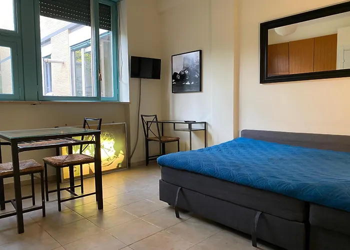 Easy & Cosy Studio In Flaminio
