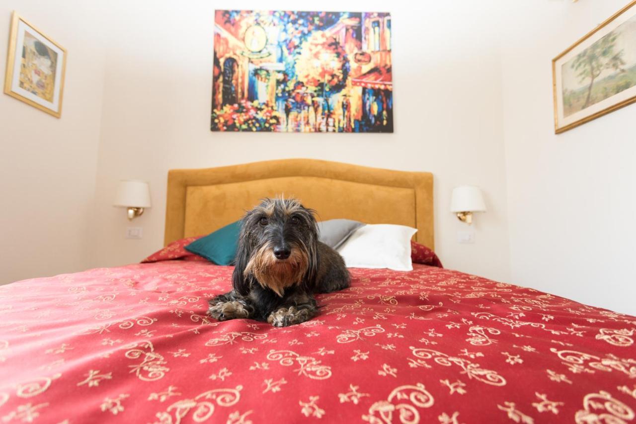 Dreaming In - Vittorio Veneto Guest house