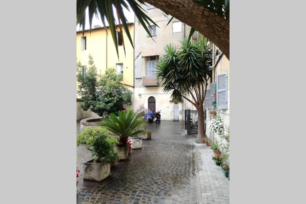 Trastevere House Appartamento *