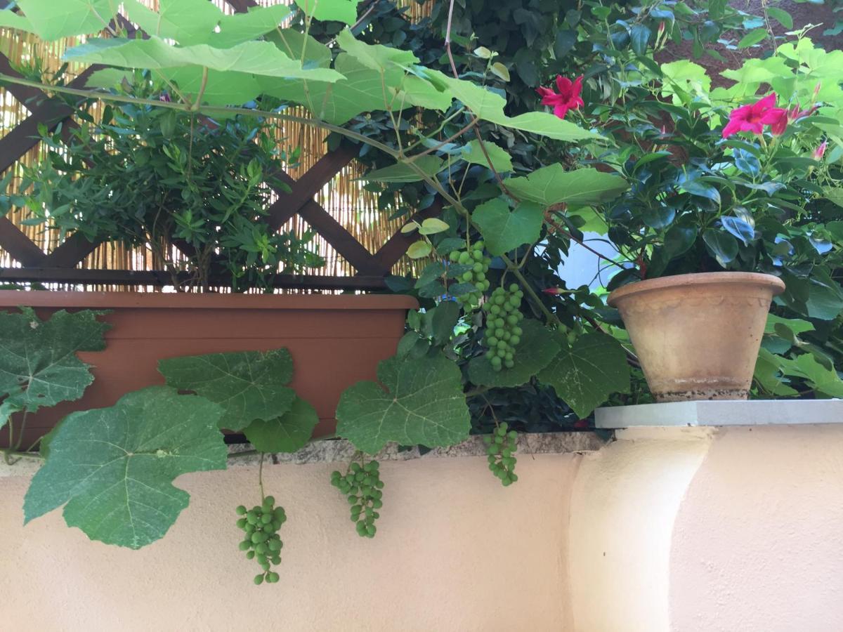 Appartamento Testaccio Historic House