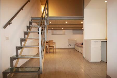 Apartment Loft In Town Domenichino At Coloseum Rome