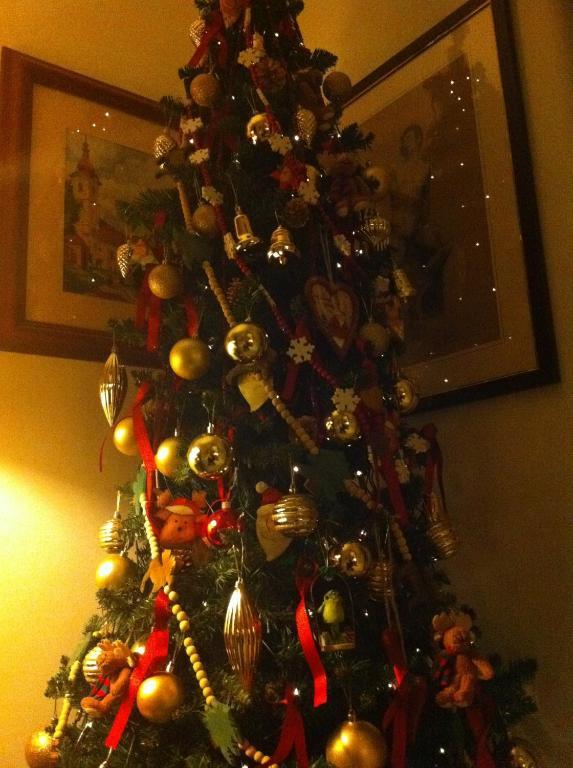 Guest house Domus Valeria Rome