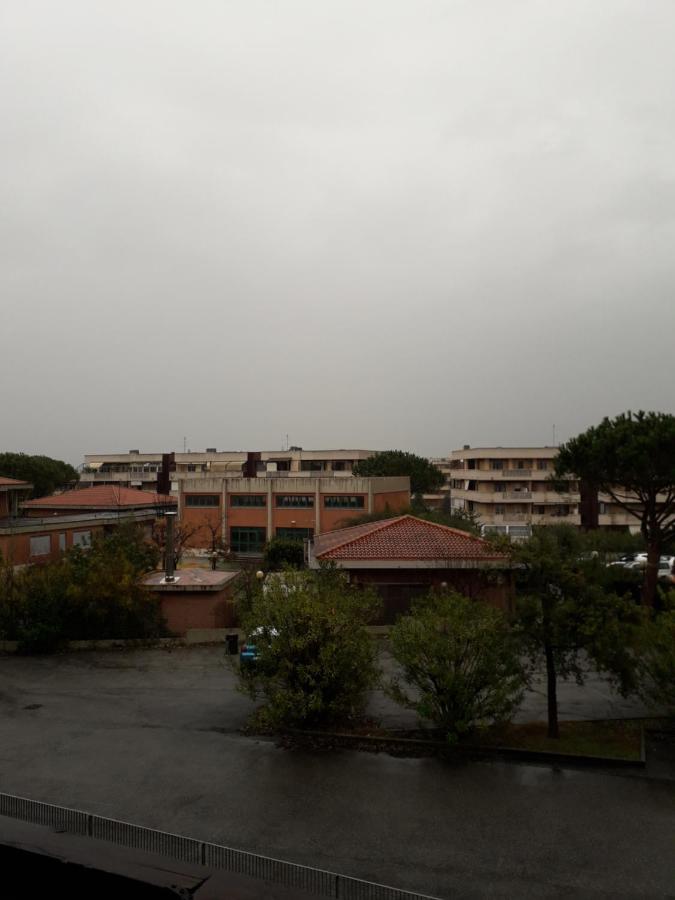 Il Brindisi Di C & C Giardino Di *