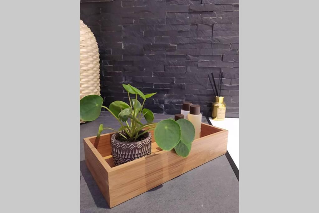Elegante Open Space Con Vasca Idromassaggio A Trastevere * Rome