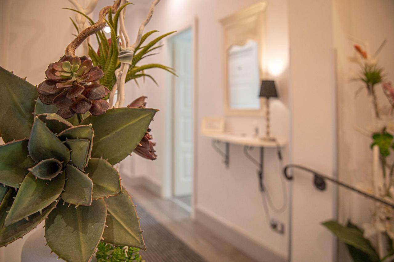 Bed & Breakfast Residenza Castrense Rome