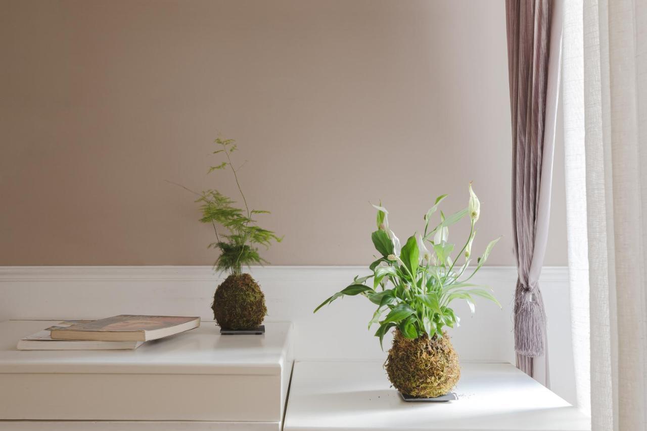 Residenza Il Duca Guest house Rome