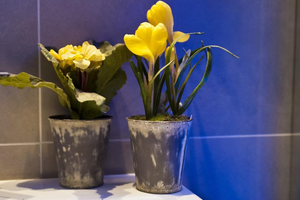 Domus Fontis Bed & Breakfast Rome
