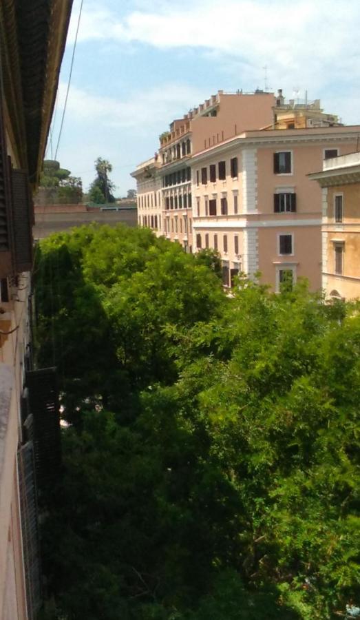 Folia Rome