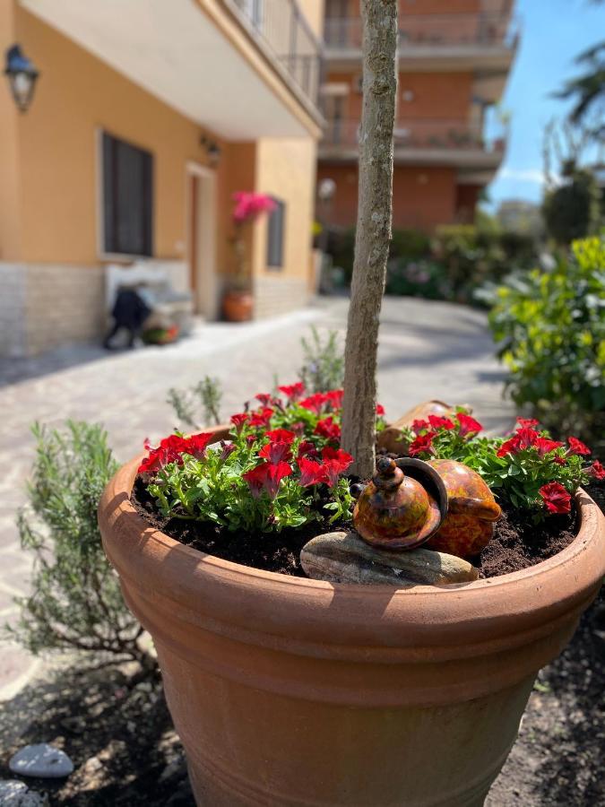 Olympic Bed & Breakfast Roma