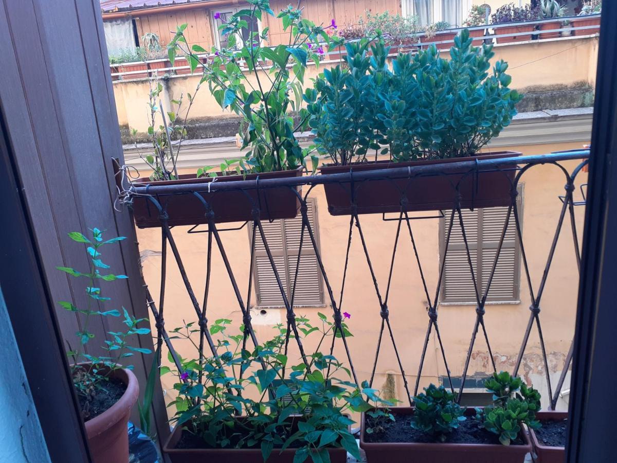 Guest house Napoleone Luxury