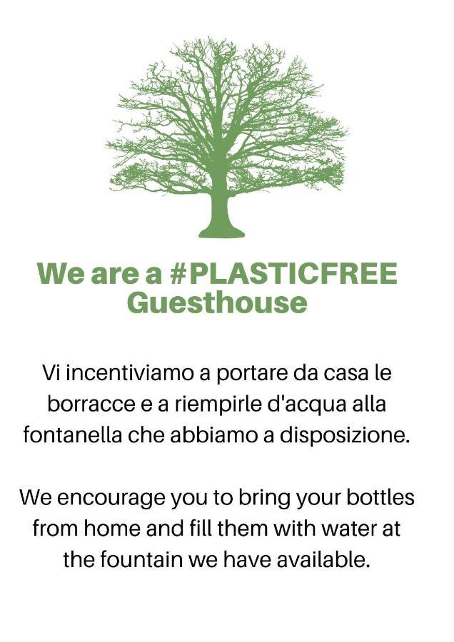 Guest house La Dolce Barberini