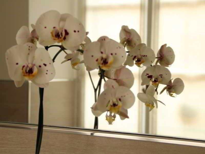 Guest house In 3*