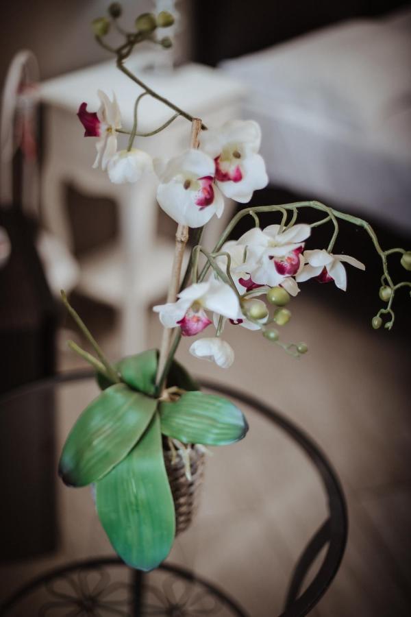 Guest house Wanderlust Relais Vaticano